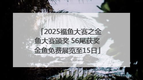 2025福鱼大赛之金鱼大赛颁奖 56尾获奖金鱼免费展览至15日