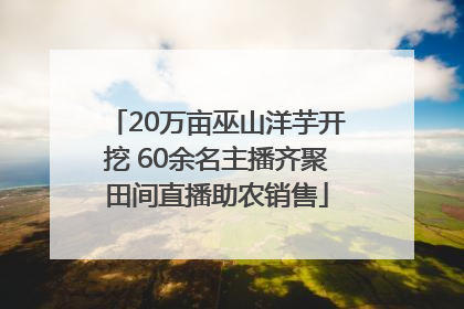 20万亩巫山洋芋开挖 60余名主播齐聚田间直播助农销售