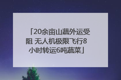20余亩山蔬外运受阻 无人机极限飞行8小时转运6吨蔬菜