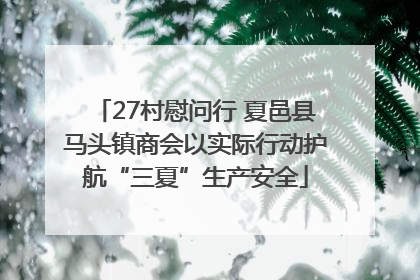27村慰问行 夏邑县马头镇商会以实际行动护航“三夏”生产安全