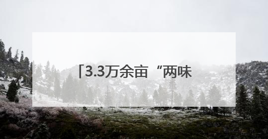 3.3万余亩“两味药”背后 沙湾重点突出“三性”推动产业实践丨新闻发布最前线