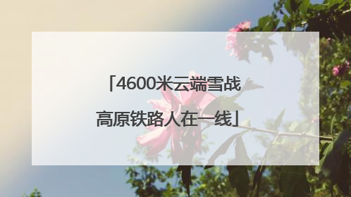 4600米云端雪战 高原铁路人在一线