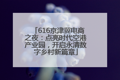 616京津冀电商之夜：点亮时代空港产业园，开启永清数字乡村新篇章