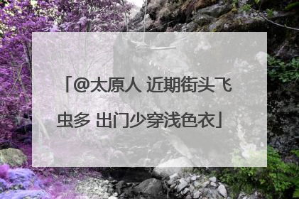 @太原人 近期街头飞虫多 出门少穿浅色衣