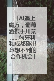 AI遇上魔方，葡萄酒携手川菜……匈牙利和成都碰出意想不到的合作机会