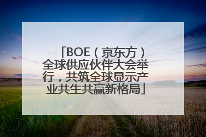 BOE（京东方）全球供应伙伴大会举行，共筑全球显示产业共生共赢新格局