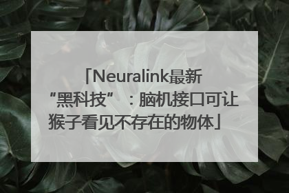 Neuralink最新“黑科技”：脑机接口可让猴子看见不存在的物体