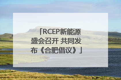 RCEP新能源盛会召开 共同发布《合肥倡议》