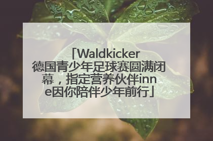 Waldkicker德国青少年足球赛圆满闭幕，指定营养伙伴inne因你陪伴少年前行